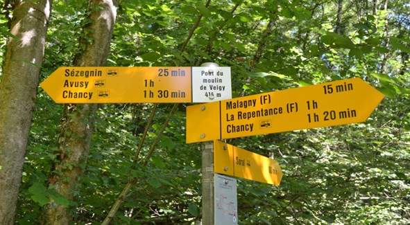 Marche Dans Le Canton De Genève Et Environs « Groupe De Marcheurs » – Automne 2026
